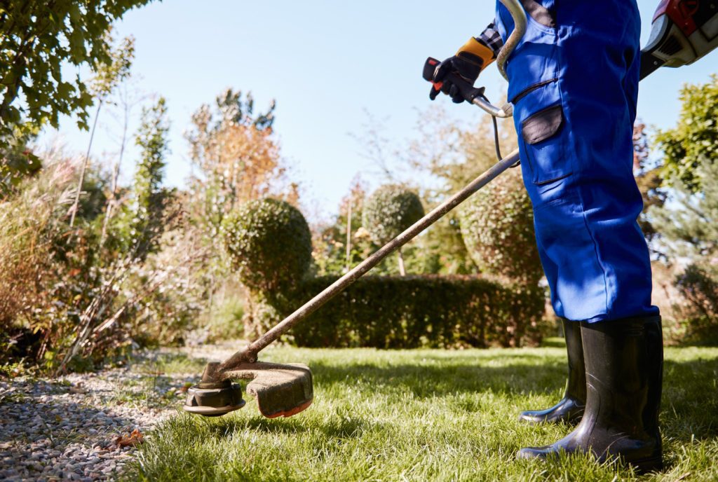 foto de empresa de jardinería acondicionando un parque en Madrid